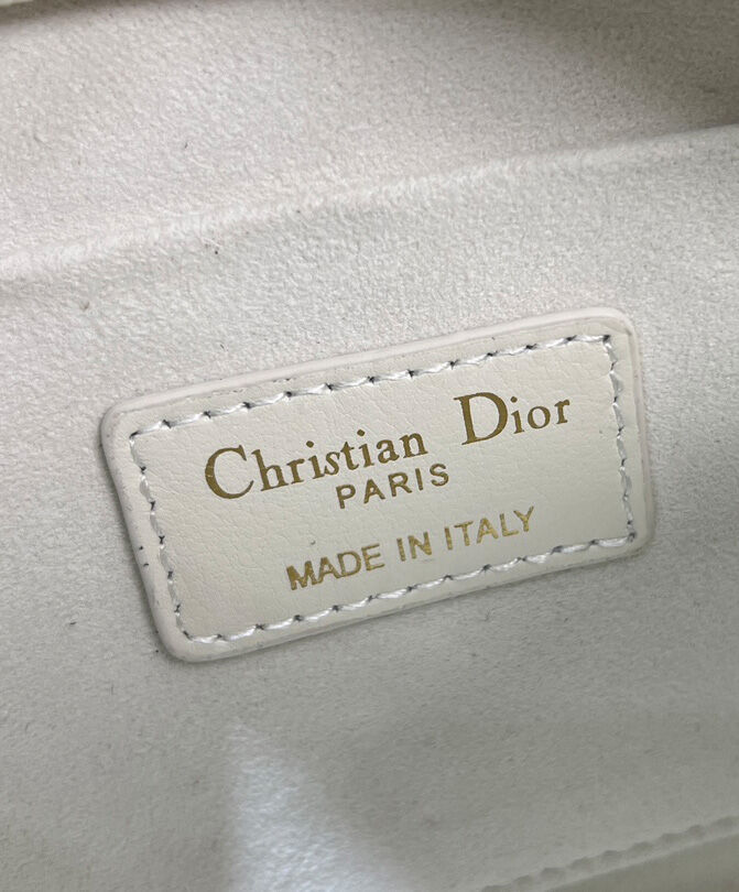 Christian Dior Small Dior Caro Top Handle Camera Bag